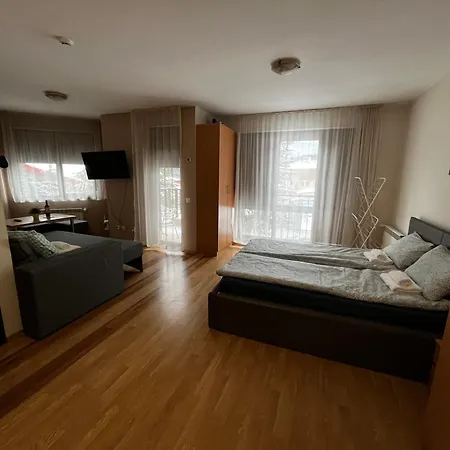 公寓 Fully Equipped 50m From The Slopes - Borovets, Flora Residence, Tulip 06