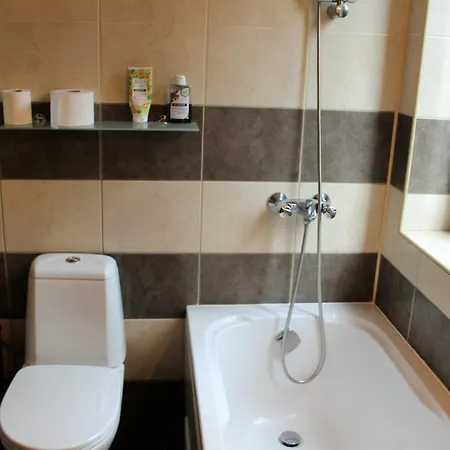 Fully Equipped 50m From The Slopes - Borovets, Flora Residence, Tulip 06 شقة