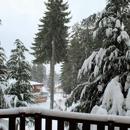Fully Equipped 50m From The Slopes - Borovets, Flora Residence, Tulip 06