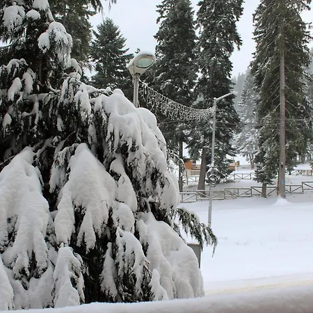 公寓 Fully Equipped 50m From The Slopes - Borovets, Flora Residence, Tulip 06 *