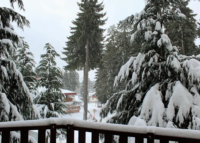 Fully Equipped 50m From The Slopes - Borovets, Flora Residence, Tulip 06